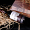 法国原瓶进口红酒整箱 罗莎庄园(ROOSAR)罗莎爱语（优雅版）干红葡萄酒六支整箱装750ml*6（带赠品）