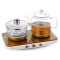 荣事达（Royalstar）养生壶套装玻璃加厚煮茶壶煮茶器烧水壶花茶壶多功能家用YSH12-T01