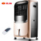 先锋（Singfun）取暖器 电暖器 暖风机 遥控冷暖空调扇 冷风扇 冷风机 电风扇DG1218 移动空调 水空调