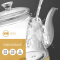 荣事达（Royalstar）养生壶套装玻璃加厚煮茶壶煮茶器烧水壶花茶壶多功能家用YSH12-T01