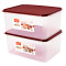 JEKO&JEKO 塑料收纳箱防潮保鲜储物盒（15L 2只装）大号长方形收纳盒药盒密封盒 暗红色 SWB-5441