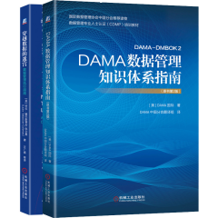 包邮DAMA数据管理知识体系指南+穿越数据的迷宫 数据管理执行指南 数据建模设计图书籍