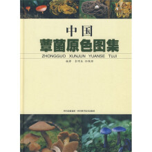 书籍图片