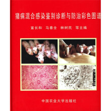 书籍图片