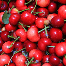 果湘园 山东大红灯樱桃 新鲜上市 5斤\/箱 车厘子