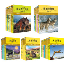 书籍图片