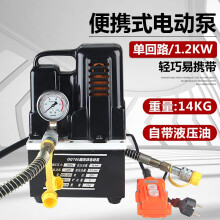 台优便携式QQ-700超小型油压泵 电动液压泵 超高压电动泵微型仿进口泵 QQ-700(手按开关220V）