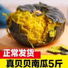 山胖子【临朐馆】贝贝小南瓜新鲜蔬菜板栗味 贝贝南瓜 5斤