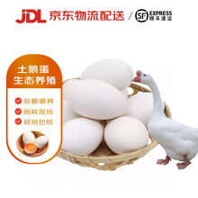 蔬香客 鹅蛋新鲜 12枚 110-130g 杂粮喂养散养鲜土鹅蛋孕妇食材
