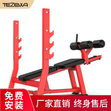 TEZEWA 下斜推举椅  蹲卧推架多功能卧推床健身器材 商用举重床杠铃凳