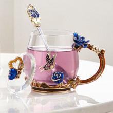 诺诗曼高颜值玻璃水杯女士杯子家用办公室茶杯520情人节礼物送女友实用