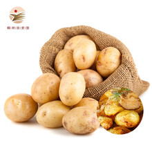 贵州新鲜黄心小土豆生鲜蔬菜马铃薯洋芋五斤装土豆2500g