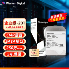 西部数据（WD） 企业级硬盘 3.5英寸SATA6Gb/s 7200转服务器NAS网络存储 机械硬盘 20TB 企业级WUH722020BLE604