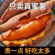 绿鲜森山东烟薯25号（顺丰）红薯糖心蜜薯烤地瓜甜薯番薯新鲜蔬菜生鲜 2.5kg（精选单果150g起）