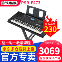 雅马哈（YAMAHA）电子琴PSR E473 EW425专业61键教学演奏家用乐队麦克风弹唱EW425 E473（61键）+便携X架礼包