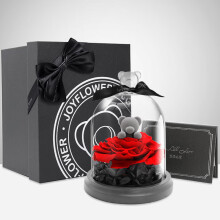RoseBox永生花小熊礼盒玫瑰花母亲节520情人节生日礼物表白送女友实用