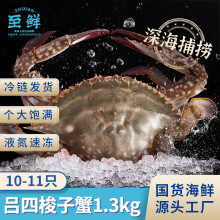 至鲜吕四梭子蟹1.3kg黄海液氮无冰螃蟹2.6斤海鲜冷冻海蟹 吕四梭子蟹1.3kg10-11只（公）