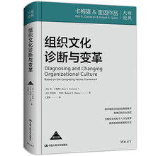组织文化诊断与变革(第三版)