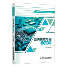 微纳集成电路工艺技术