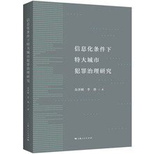 信息化条件下特大城市犯罪治理研究
