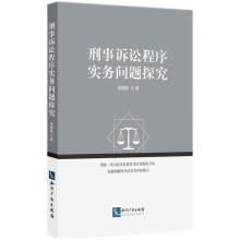 刑事诉讼程序实务问题探究