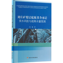 刘庄矿煤层底板多含水层突水风险与疏降水量预测
