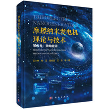 摩擦纳米发电机理论与技术（第二卷）微纳能源