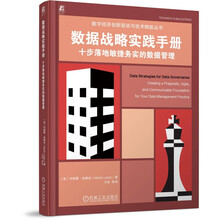 数据战略实践手册：十步落地敏捷务实的数据管理