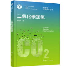 碳中和关键技术丛书--二氧化碳加氢