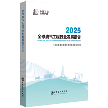 全球油气工程行业发展报告.