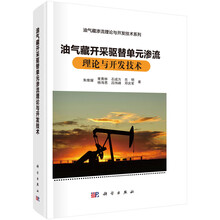 油气藏开采驱替单元渗流理论与开发技术