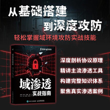 域渗透实战指南