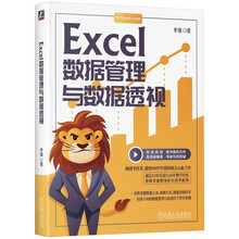Excel数据管理与数据透视