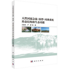 天然河流急流-深潭-河滩系统形态结构和生态功能