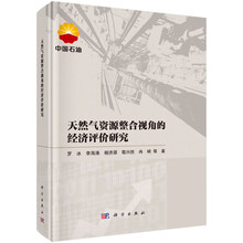 天然气资源整合视角的经济评价研究