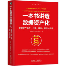 一本书讲透数据资产化：数据资产确权、入表、评估、管理与变现