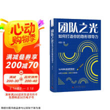 团队之光：如何打造你的隐形领导力