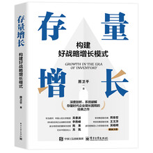 存量增长：构建好战略增长模式