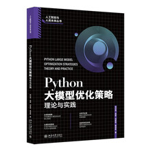 Python大模型优化策略：理论与实践