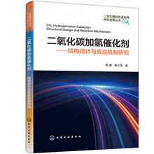 二氧化碳加氢催化剂——结构设计与反应机制研究