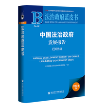 中国法治政府发展报告（2024）