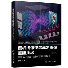 层析成像深度学习图像重建技术：电阻及电阻/超声双模态融合