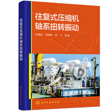 往复式压缩机轴系扭转振动（许增金）