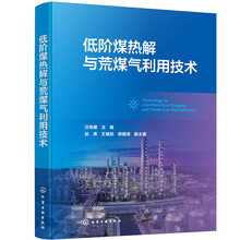 低阶煤热解与荒煤气利用技术