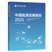 中国能源发展报告.2025