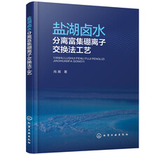 盐湖卤水分离富集硼离子交换法工艺