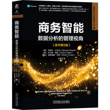 商务智能:数据分析的管理视角