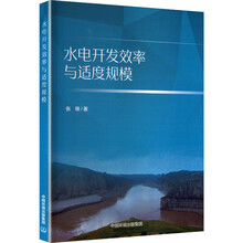 水电开发效率与适度规模
