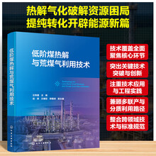 低阶煤热解与荒煤气利用技术