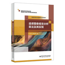 遥感图像视觉分析算法及其实现